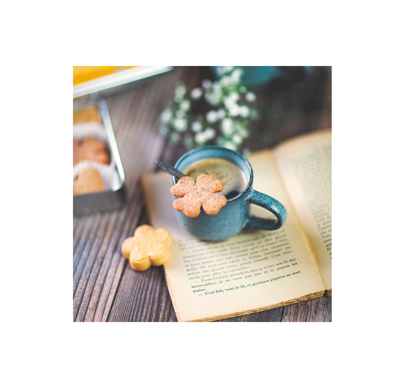 Trèfles Muscat - The mixture of sugar and cinnamon powdered on these clovers further enhances the taste of the fruit Trèfles Muscat - The mixture of sugar and cinnamon powdered on these clovers further enhances the taste of the fruit