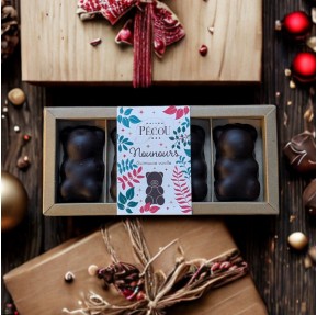 Pécou Chocolate Teddy Bears (100 g) – Dark or Milk Chocolate