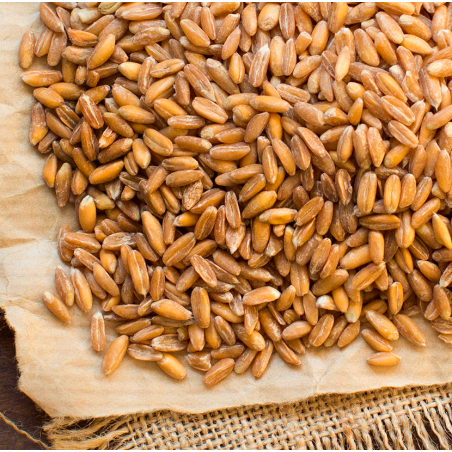 Small spelt - Biscuiterie de Provence