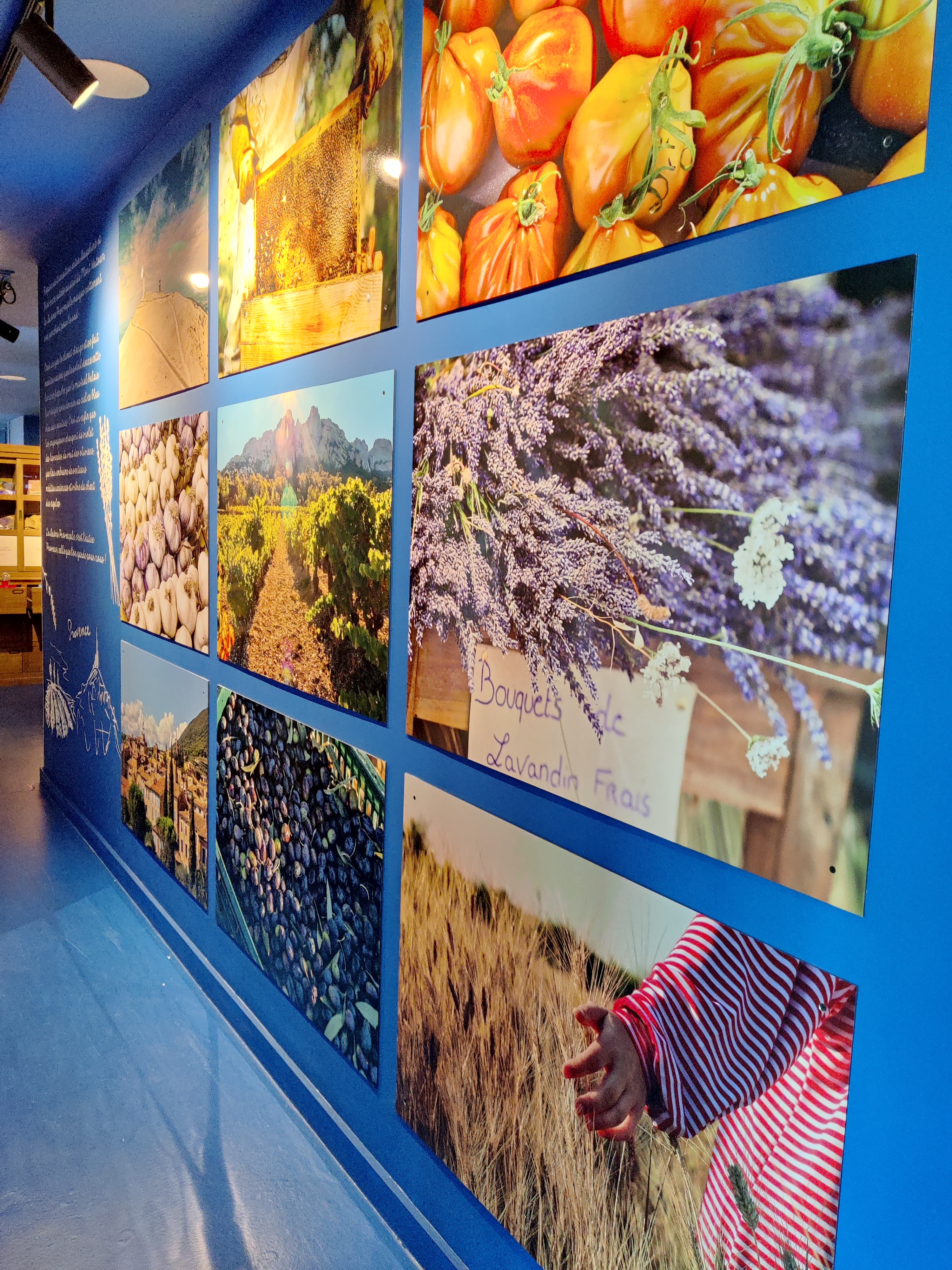 biscuiterie de provence