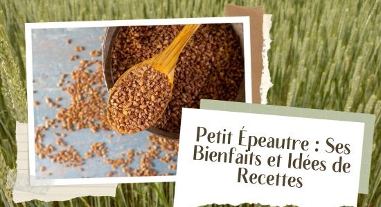 Petit Épeautre : Ses Bienfaits et Idées de Recettes